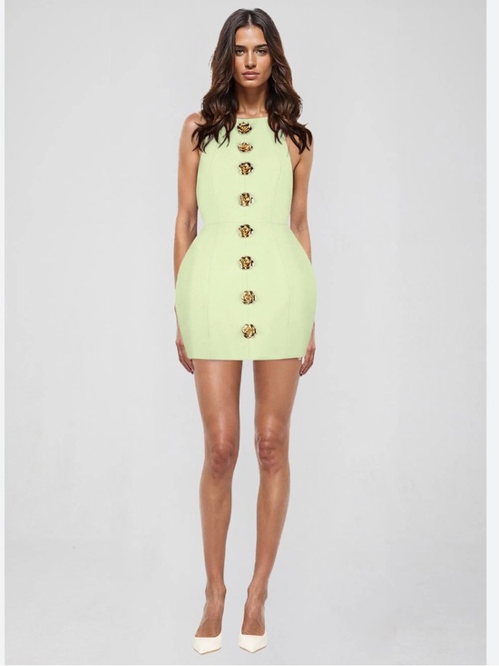 Atoir Dresses & Skirts - Atoir The Tiffany Backless Gold Rose Flower Embellished Dress in Mint Green NEW
